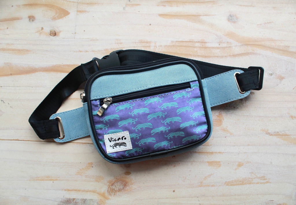 Hip Packs / Canguros