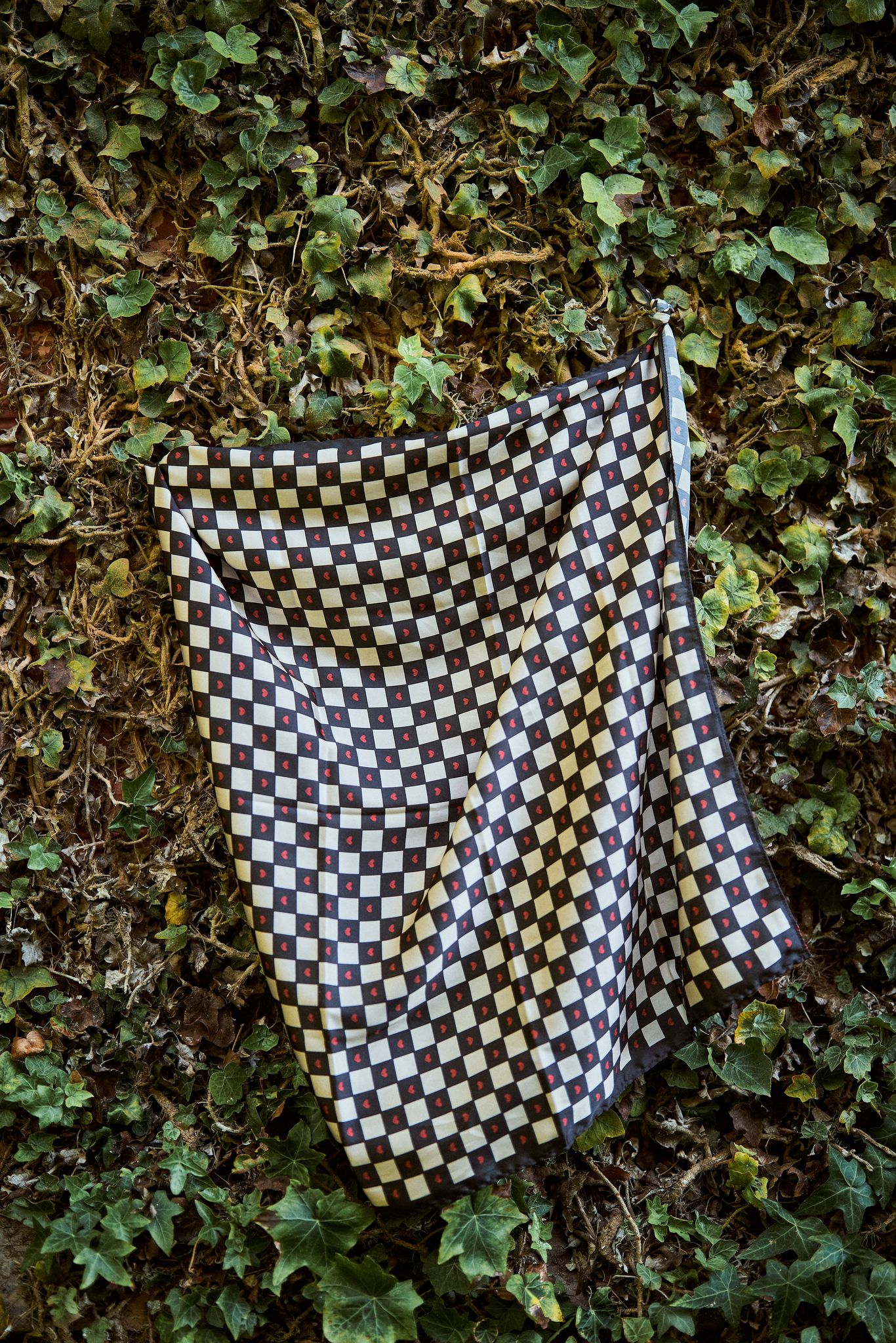 Pañoleta