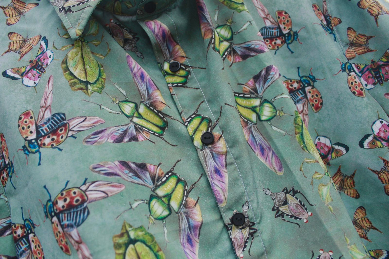 Camisa Bichos - Mujer